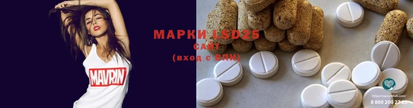 PSILOCYBIN Абаза