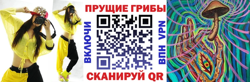 Псилоцибиновые грибы Psilocybe  купить закладку  Майский 